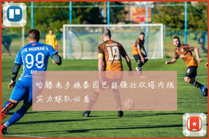 哈滕老乡施泰因巴赫强壮双塔内线实力球队必看