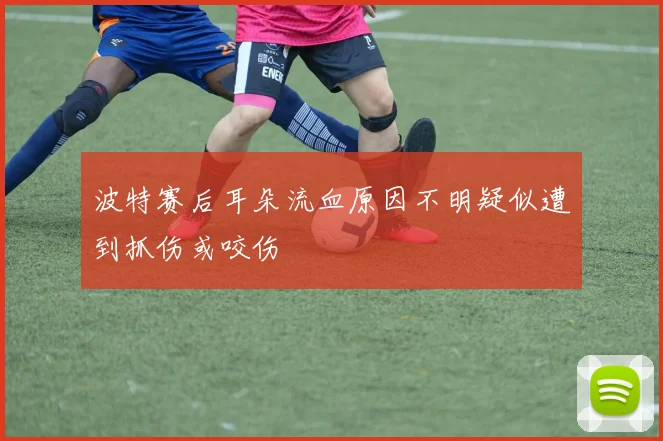 波特赛后耳朵流血原因不明疑似遭到抓伤或咬伤