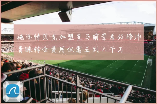 施洛特贝克加盟皇马前景看好穆帅青睐转会费用仅需五到六千万